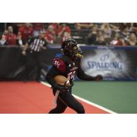 Jacksonville Sharks vs. Orlando Predators