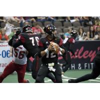 Orlando Predators Quarterback Randy Hippeard