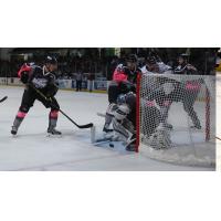 Colorado Eagles vs. Idaho Steelheads