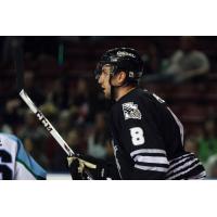 Utah Grizzlies vs. Alaska Aces