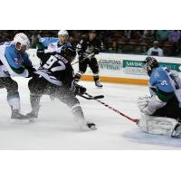 Utah Grizzlies vs. Alaska Aces
