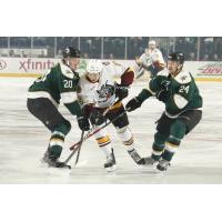 Chicago Wolves vs. Texas Stars