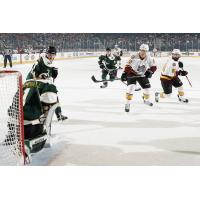 Chicago Wolves vs. Texas Stars