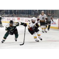 Chicago Wolves vs. Texas Stars