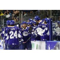 Bridgeport Sound Tigers vs. Syracuse Crunch