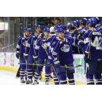 Bridgeport Sound Tigers vs. Syracuse Crunch