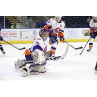 Bridgeport Sound Tigers vs. Syracuse Crunch