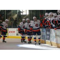 Bridgeport Sound Tigers Introductions
