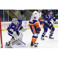 Bridgeport Sound Tigers vs. Syracuse Crunch