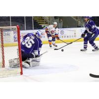 Bridgeport Sound Tigers vs. Syracuse Crunch