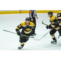 St. John's IceCaps vs. Providence Bruins