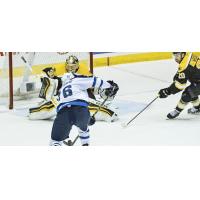 St. John's IceCaps vs. Providence Bruins