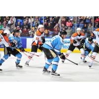 Lehigh Valley Phantoms vs. Wilkes-Barre/Scranton Penguins
