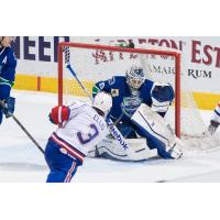 Hamilton Bulldogs vs. Utica Comets