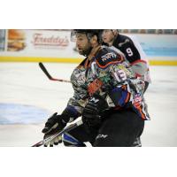 Wichita Thunder vs. Brampton Beast