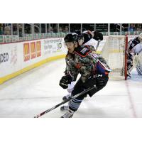 Wichita Thunder vs. Brampton Beast