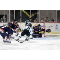 Louisiana IceGators vs. Peoria Rivermen