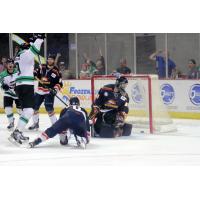 Louisiana IceGators Celebrate Score vs. Peoria Rivermen