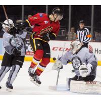 San Antonio Rampage vs. Adirondack Flames