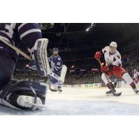 Grand Rapids Griffins vs. Toronto Marlies