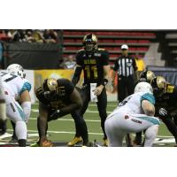 Las Vegas Outlaws vs. Arizona Rattlers
