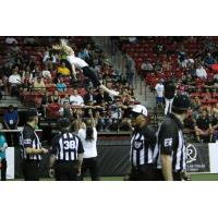 Las Vegas Outlaws vs. Arizona Rattlers