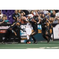 Arizona Rattlers vs. Spokane Shock
