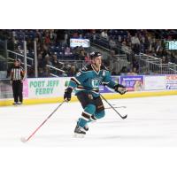 Bridgeport Sound Tigers vs. Worcester Sharks