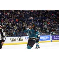 Bridgeport Sound Tigers vs. Worcester Sharks