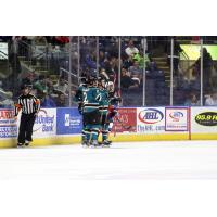 Bridgeport Sound Tigers vs. Worcester Sharks