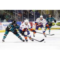 Bridgeport Sound Tigers vs. Worcester Sharks