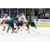 Bridgeport Sound Tigers vs. Worcester Sharks