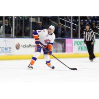 Bridgeport Sound Tigers vs. Worcester Sharks