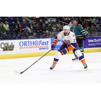 Bridgeport Sound Tigers vs. Worcester Sharks