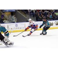 Bridgeport Sound Tigers vs. Worcester Sharks