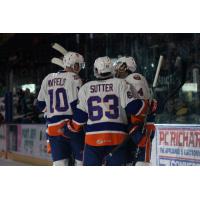 Bridgeport Sound Tigers vs. Worcester Sharks