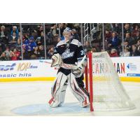 Eric Comrie of the St. John's IceCaps