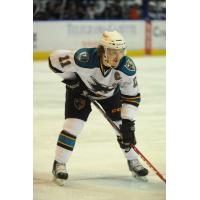 Worcester Sharks Forward Bryan Lerg