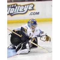 Toledo Walleye Goaltender Jeff Lerg