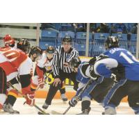 Saint John Sea Dogs vs. Baie-Comeau Drakkar