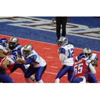 Columbus Lions Quarterback Casey Kacz