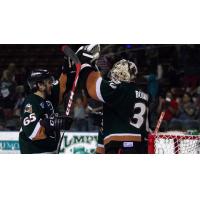 Utah Grizzlies Goaltender Igor Bobkov