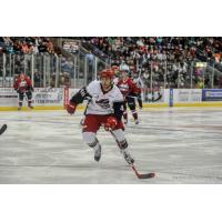 Taylor Stefishen of the Elmira Jackals