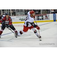 Steven Shamanski of the Elmira Jackals