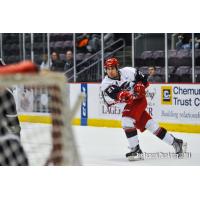 Steven Shamanski of the Elmira Jackals