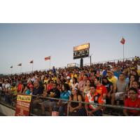 Strikers Record Crowd