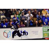 Richmond Raiders in Action
