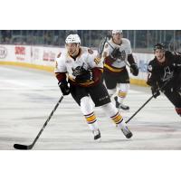 Chicago Wolves vs. Lake Erie Monsters