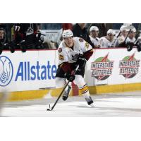 Chicago Wolves vs. Lake Erie Monsters