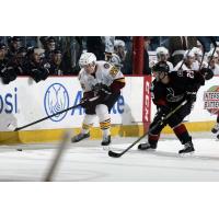 Chicago Wolves vs. Lake Erie Monsters